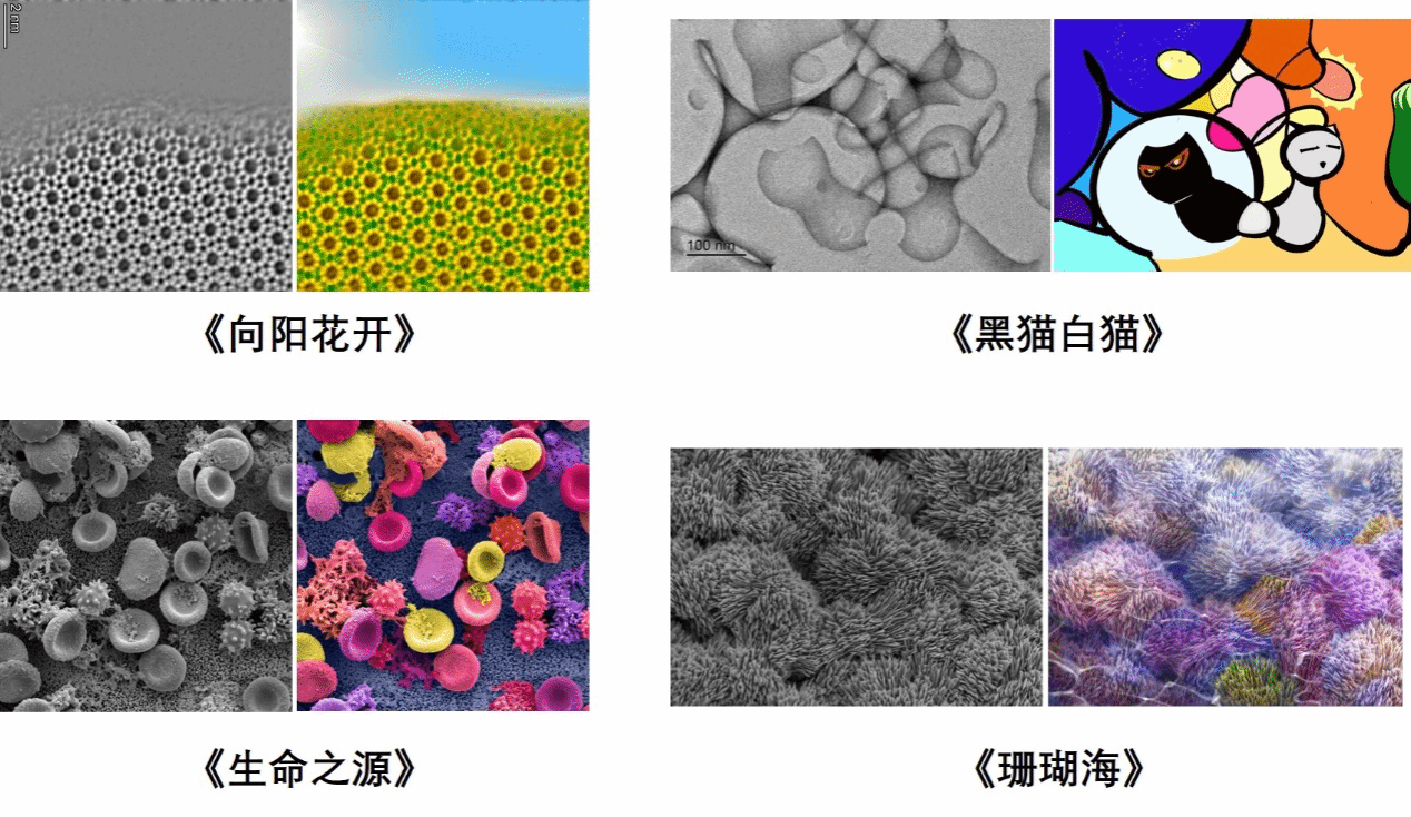 图片1.png 图片1.png
